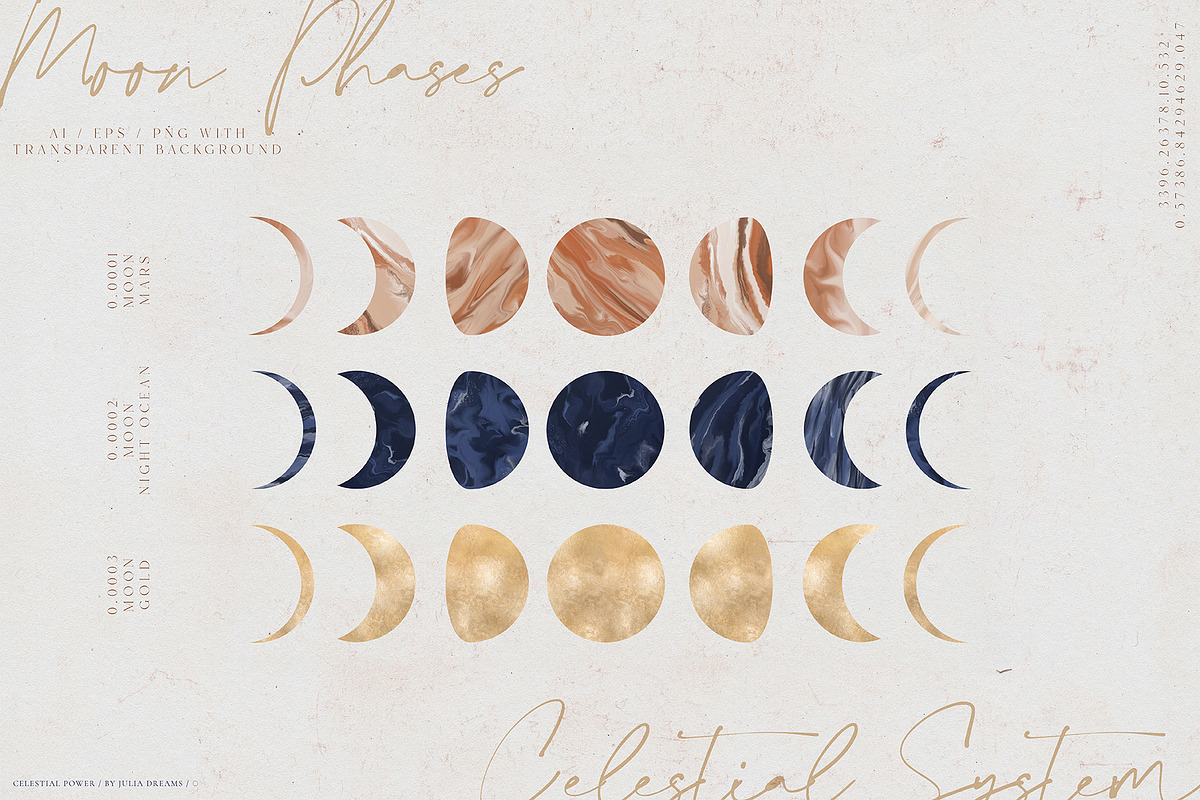 Celestial Kit, an Animal Illustration by Julia Dreams (Photo 10 of 13)