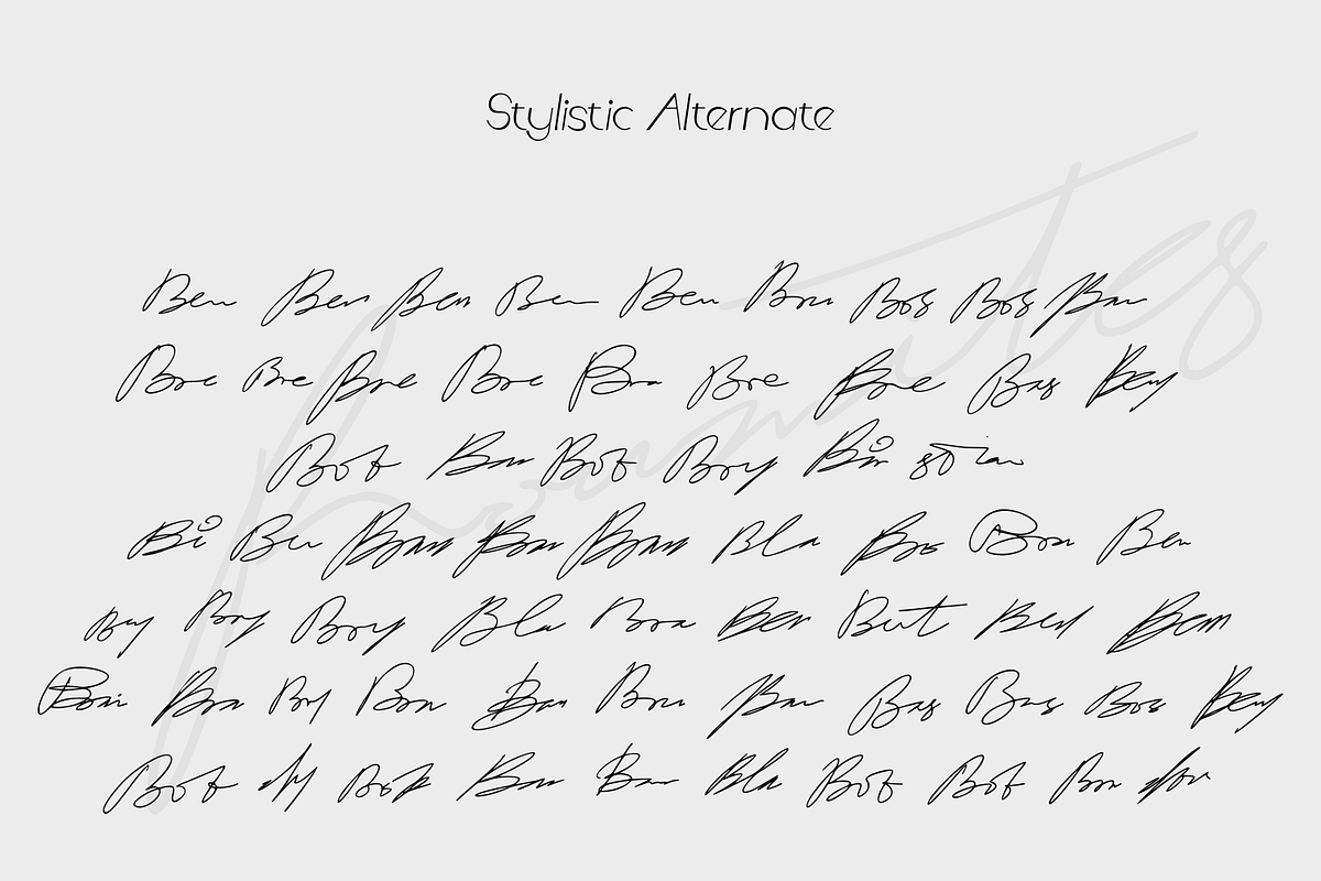 Roumites | Signature Script, a Handwritten Font by Mozyen Studio (Photo 8 of 11)