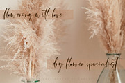 Centaura Script, a Script Font by Chocotype Std (Thumbnail 5 of 8)