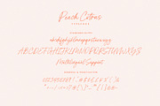 Peach Citrus Handwritten Script, a Script Font by Seagulls Creative (Thumbnail 10 of 11)