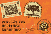 Vintage Floral Illustrations, a Decorative Illustration by Jeffry Macpherson Visuals (Thumbnail 2 of 3)