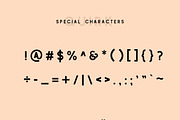 Traveler - Script & Sans Serif Duo, a Script Font by The Routine Creative (Thumbnail 10 of 10)