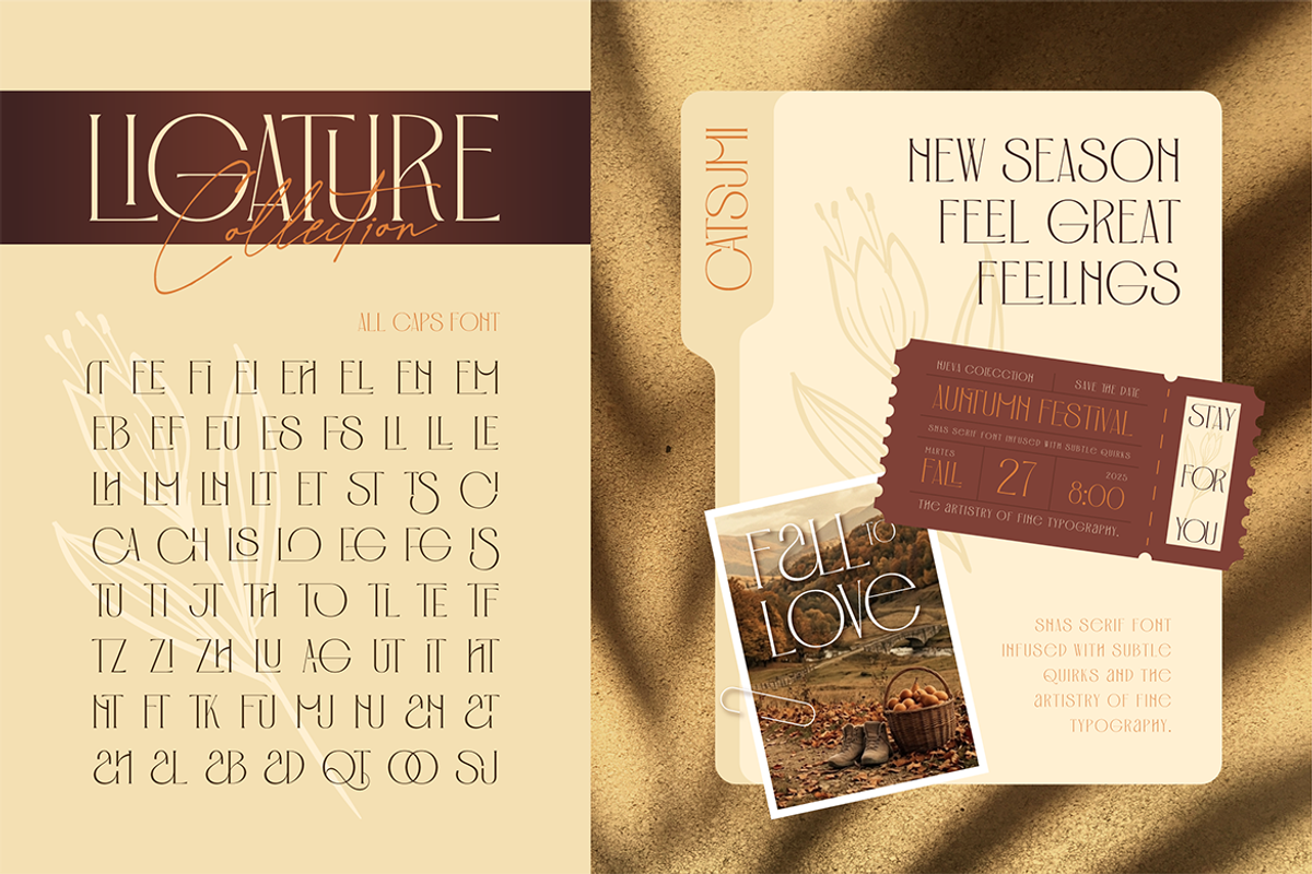Catsumi - Elegant San Serif, a Sans Serif Font by Burntilldead (Photo 5 of 11)
