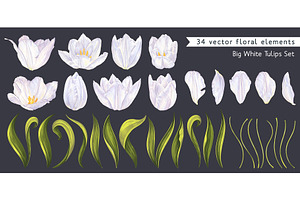 Realistic Vector White Tulips Set