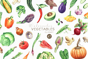 Watercolor VEGETABLES illustrations
