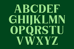 Niecher-Serif Display