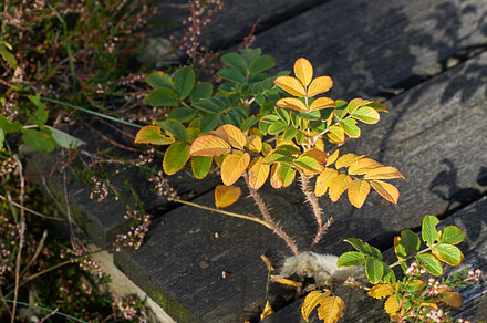 Beautiful autumn, a Photo by Peopleimages.com