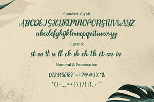 Evergarden Beautiful Script Font