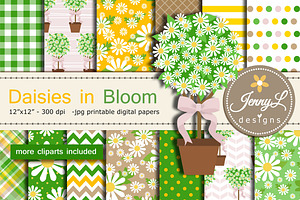 Daisy Flower Digital Paper Clipart