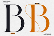 The Eiblanc Club Hermes | 12 Font, a Serif Font by Natural Ink Studio (Thumbnail 10 of 15)