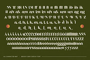 Adeline Mahila Groovy Serif Font, a Serif Font by timelesstype.co (Thumbnail 19 of 20)