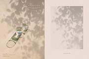 Dappled - Botanical Shadow Overlays, a Texture Graphic by alonahaidash (Thumbnail 13 of 16)
