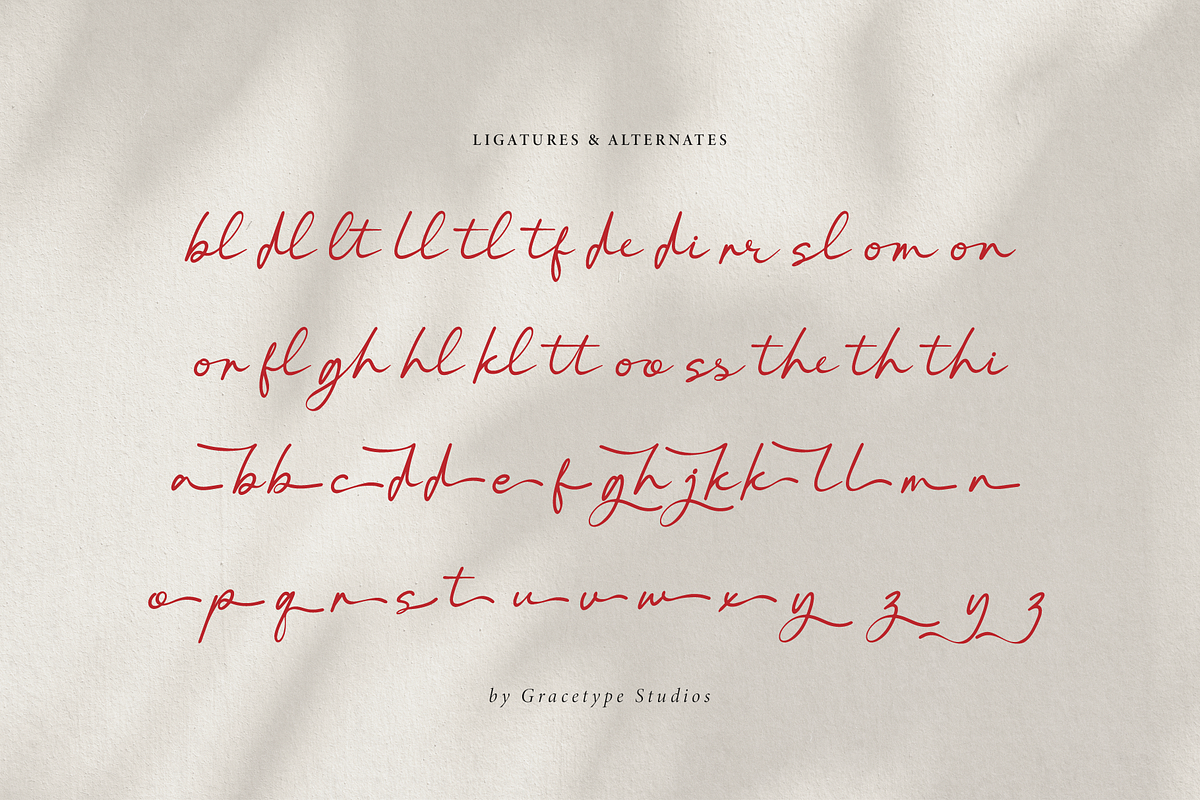 Pelagrium | Handwritten Script, a Script Font by gracetype_studio (Photo 12 of 12)