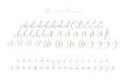 Follow script, a Script Font by Fontop (Thumbnail 8 of 9)