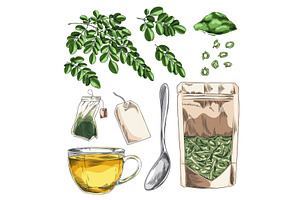 Moringa oleifera products hand drawn, a Food Illustration by Sabelskaya