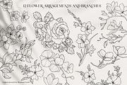 Floral Garden - Floral Line Art, an Illustration by IllustratorAnnie (Thumbnail 7 of 10)