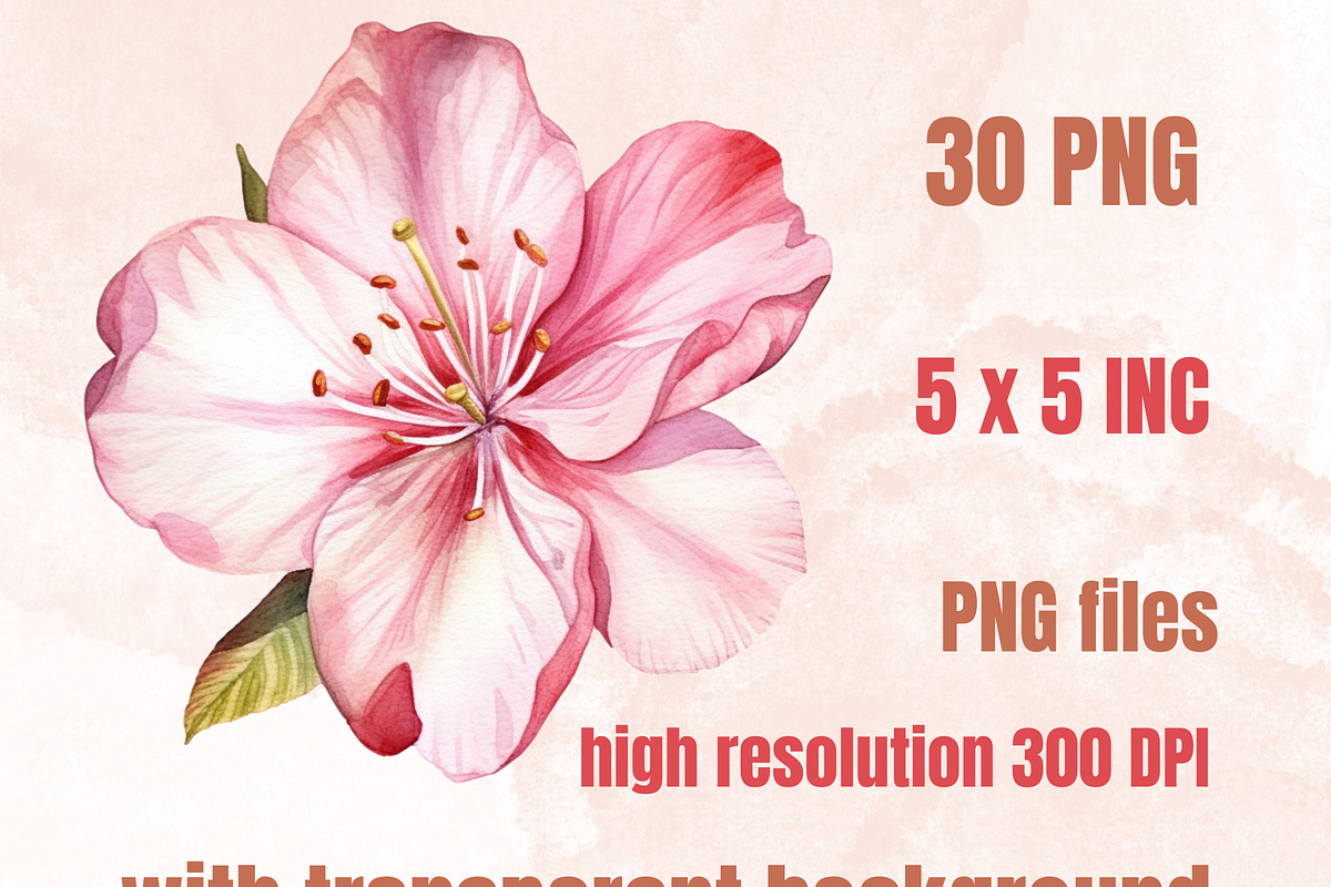 Watercolor Cherry Blossom Collection, a Decorative Illustration by GiraffeCreative (Photo 2 of 9)