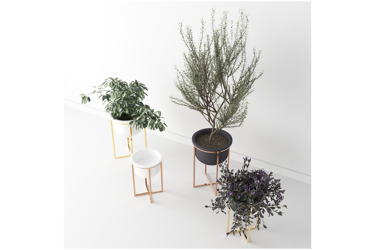 Interior Plants Trio, a Furniture 3D Model by 3DCargo (Photo 4 of 9)