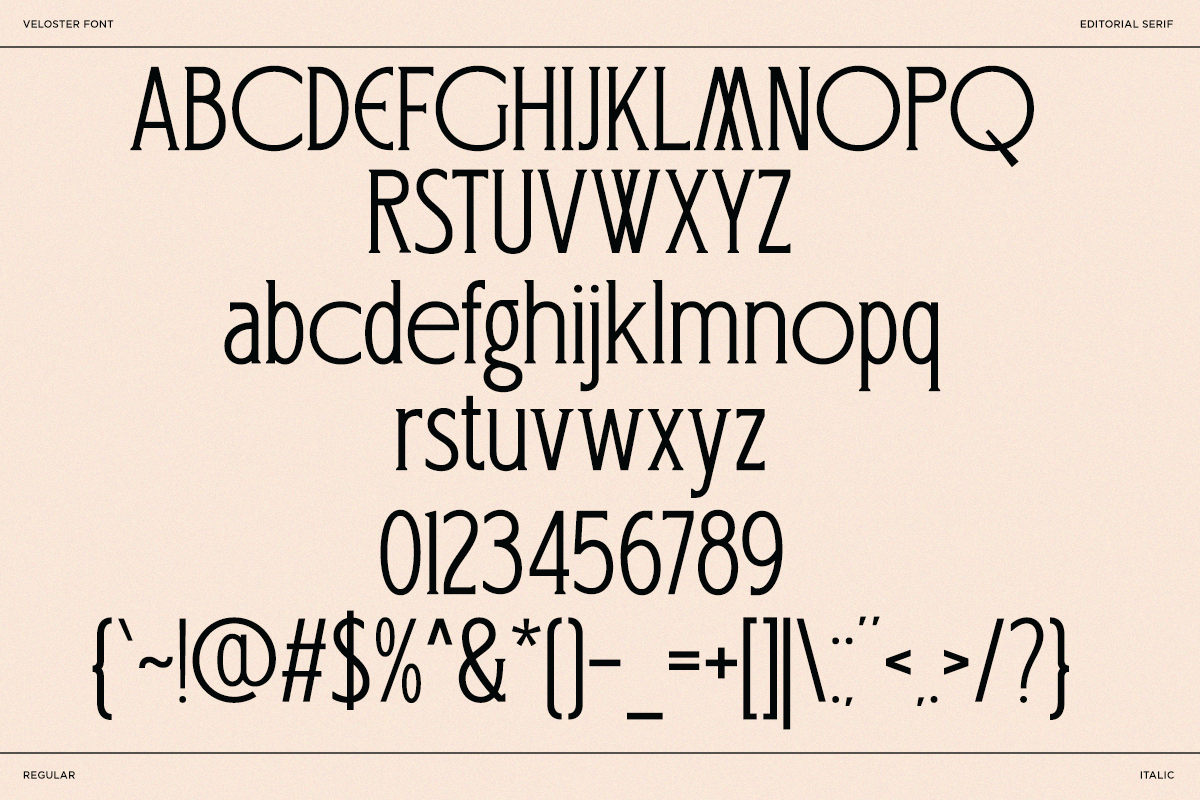 Logo Serif Branding Font - Veloster, a Serif Font by Say Studio (Photo 8 of 8)