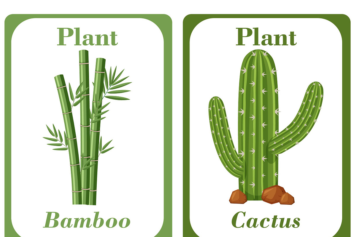 Plants Flash Cards For Kids, a Card Template by DigitalsDesigns (Photo 2 of 4)