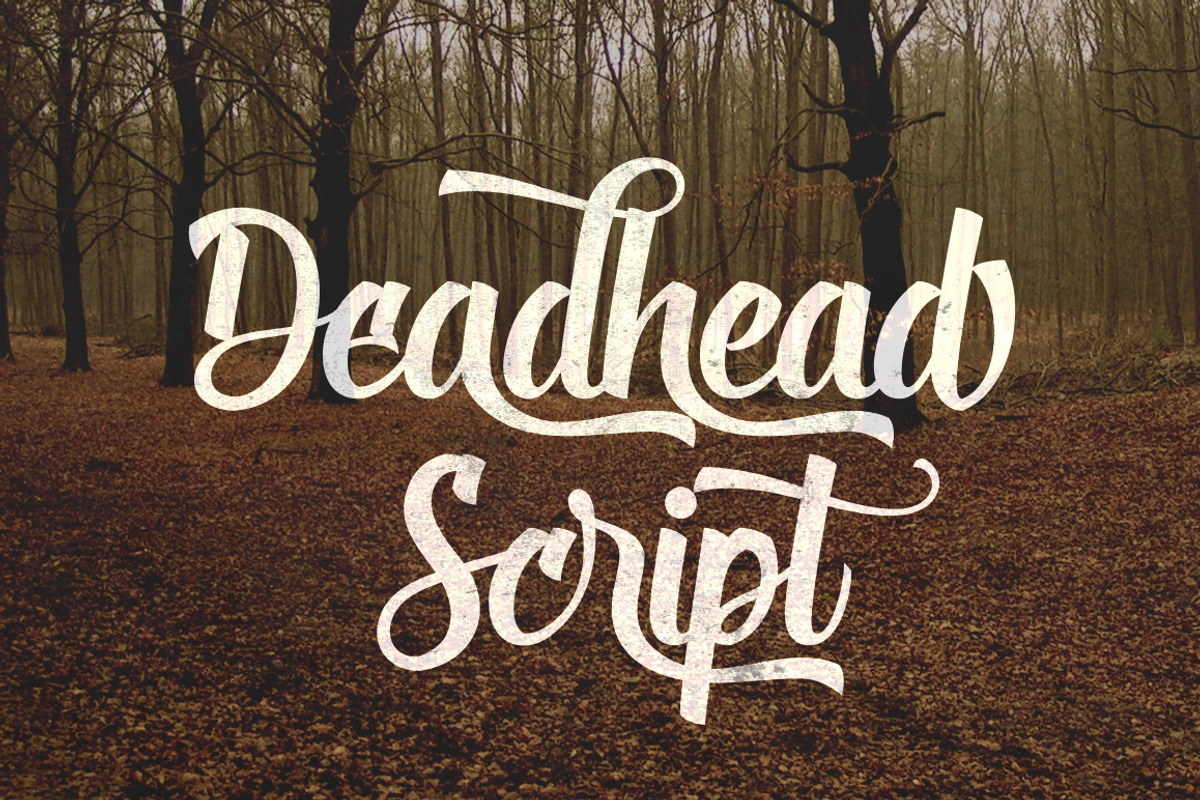 5 Sick Script preview 4