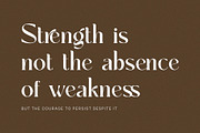 Sayiker Modern Ligature Serif Font, a Serif Font by Perfectype (Thumbnail 2 of 6)