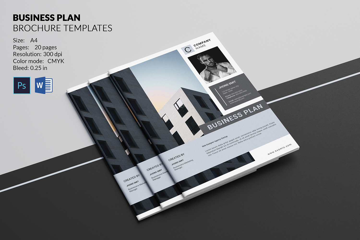Business Plan Brochure, a Brochure Template by crazyOWL