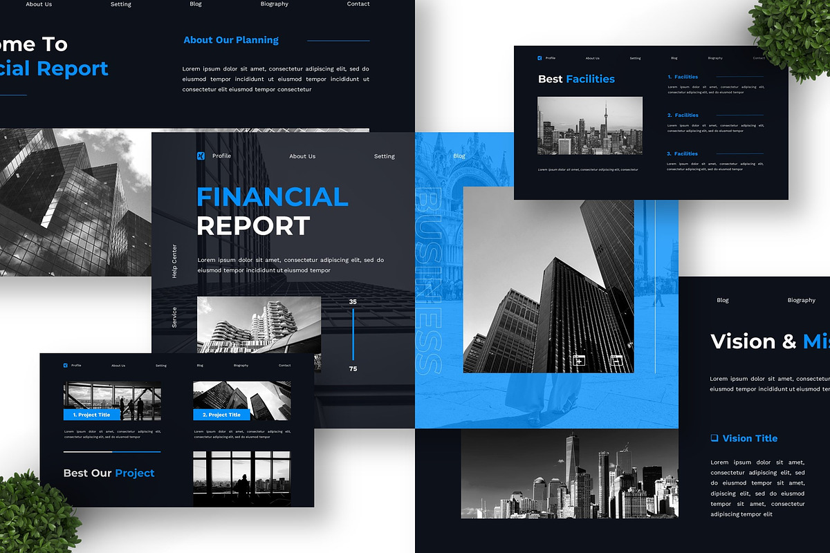 Financial Report - Business Key preview 2