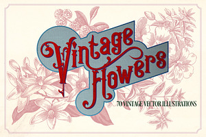 Vintage Flower Illustrations