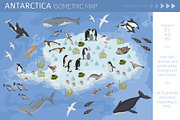Antarctica isometric flora and fauna, an Animal Illustration by pet design shop (Thumbnail 1 of 5)