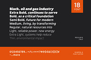 Rinteva Grid - Sans for Oil & Gas, a Sans Serif Font by twinstd (Thumbnail 12 of 12)