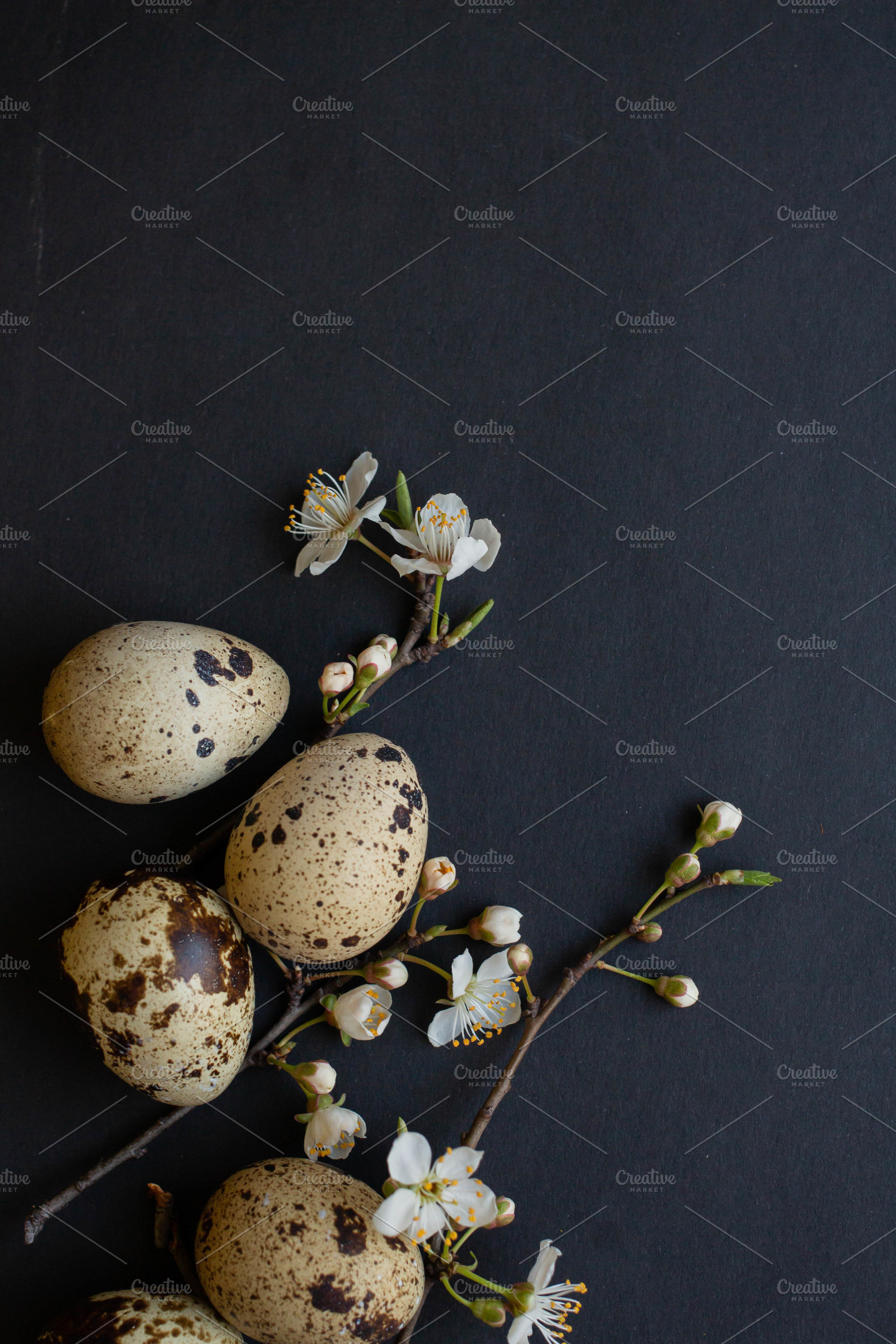 Dark easter 2 stock photo containing april and background, a Holiday Photo by Arymer