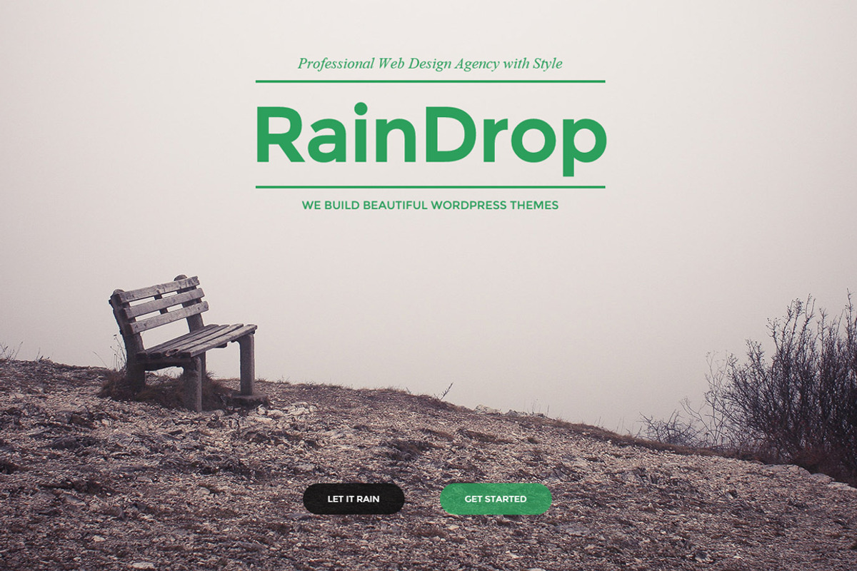 RainDrop - A Multipurpose Theme, a WordPress Template by PremiumCoding (Photo 1 of 3)