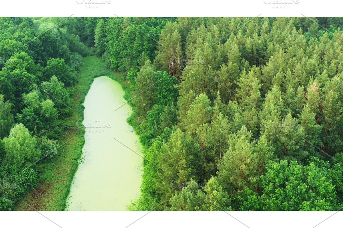 4K Aerial View Of Green Forest, a Graphic by Our Amazing World (Photo 1 of 2)
