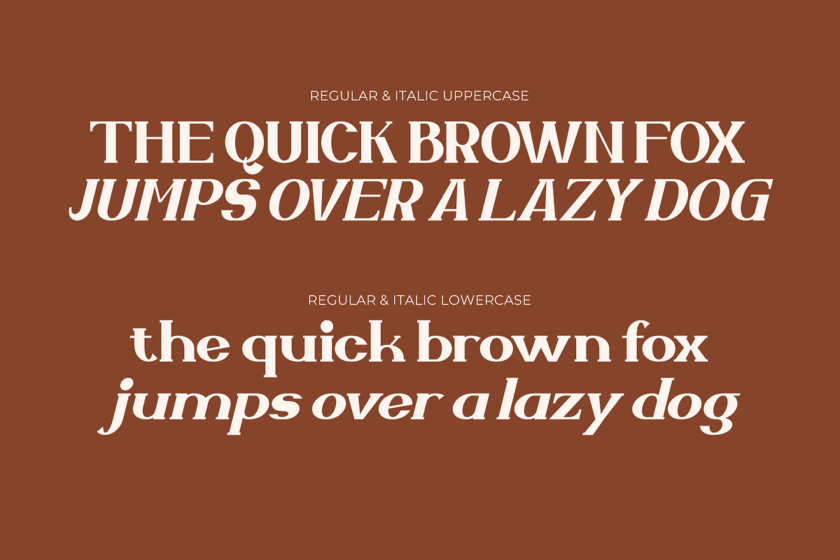Zellique - Modern Serif Font, a Serif Font by Rishsketch (Photo 4 of 15)