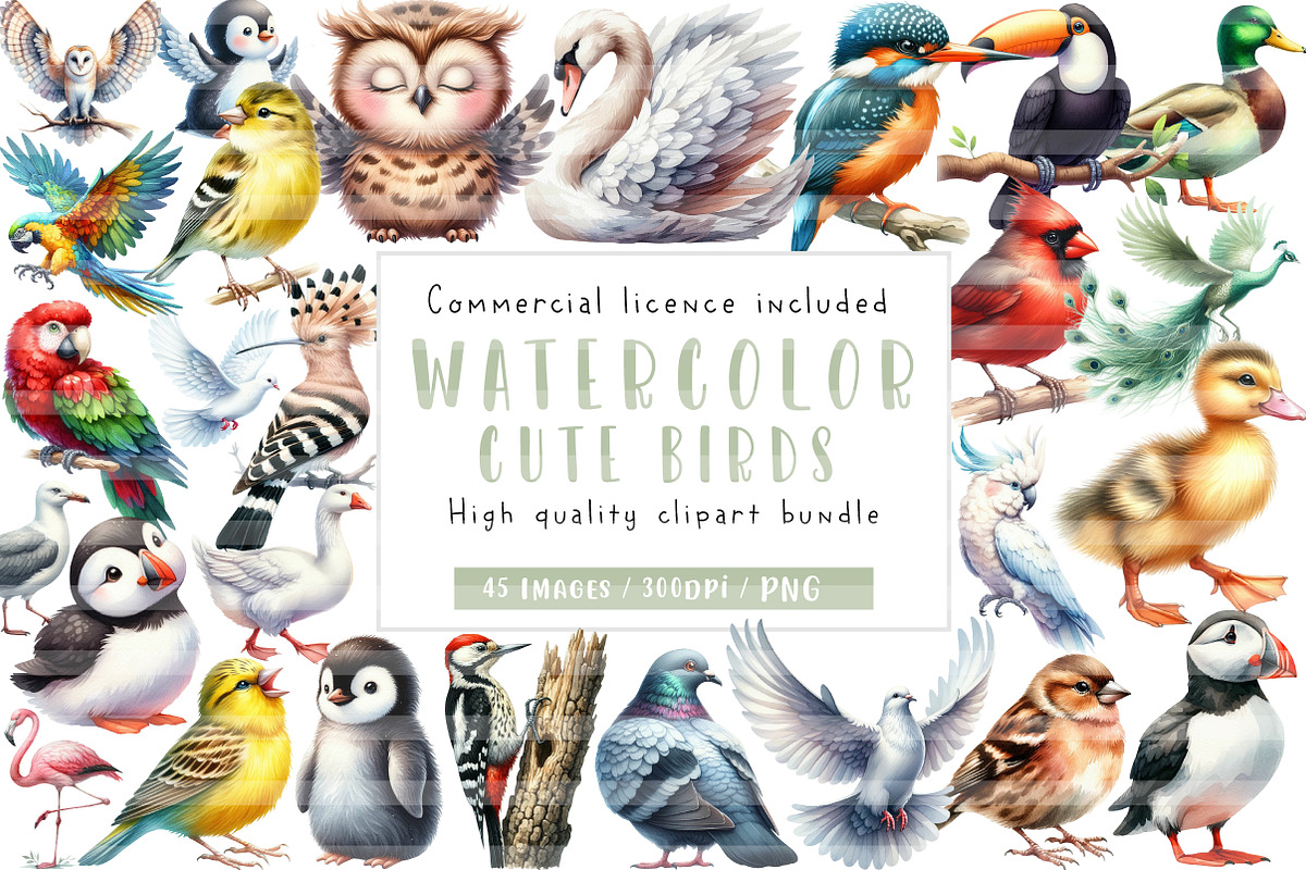 Cute Birds Clipart, an Illustration by CreationArt (Photo 1 of 5)