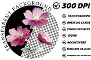 Wildflowers Watercolor Clipart, an Illustration by DreamCafeArt (Thumbnail 2 of 6)