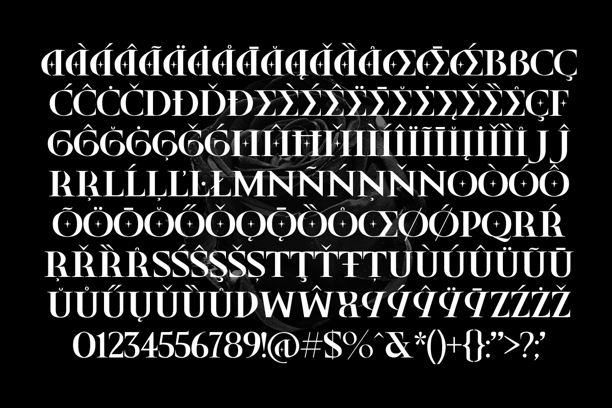 Bricheny Rock – Ligature Serif, a Serif Font by Fikryal Studio (Photo 14 of 15)