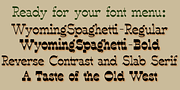 WyomingSpaghetti, a Slab Serif Font by Ingrimayne Type (Thumbnail 3 of 5)