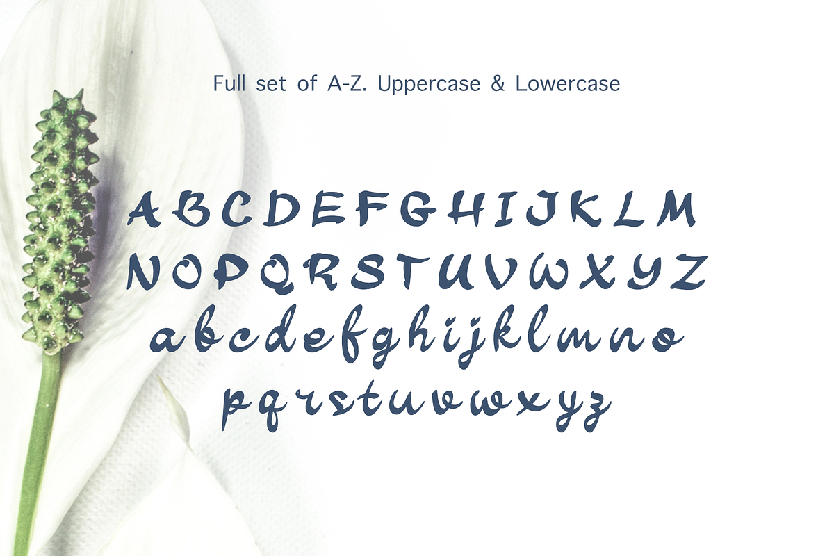 RIELEVA, a Handwritten Font by Rizenight (Photo 2 of 6)