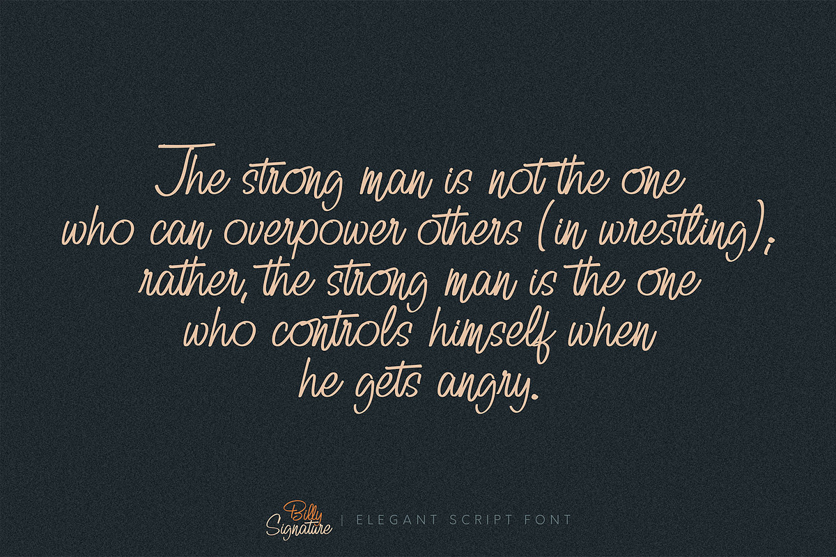 Billy Signature, a Script Font by Omotu Studio (Photo 8 of 12)