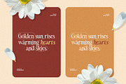 Silvena – Modern Elegant Serif Font, a Serif Font by BrandSemut (Thumbnail 3 of 10)