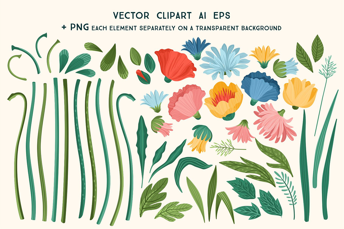 Women are Flowers. Vector collection, a Person Illustration by Nadia Grapes (Photo 3 of 7)