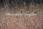Nature close, a Templates & Theme by outlinez (Thumbnail 5 of 5)