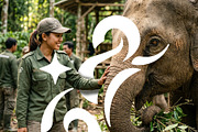 Elephant Conservation Logo, a Branding & Logo Template by Atlantis X Nurman Arbai (Thumbnail 2 of 3)