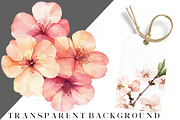 Pastel Watercolor Flower Clipart, an Illustration by DreamCafeArt (Thumbnail 7 of 8)
