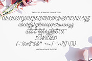 Fabulous Signature, a Script Font by Akifatype. (Thumbnail 6 of 7)