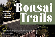 Forest Sunrise Bold Display Serif, a Serif Font by timelesstype.co (Thumbnail 15 of 20)
