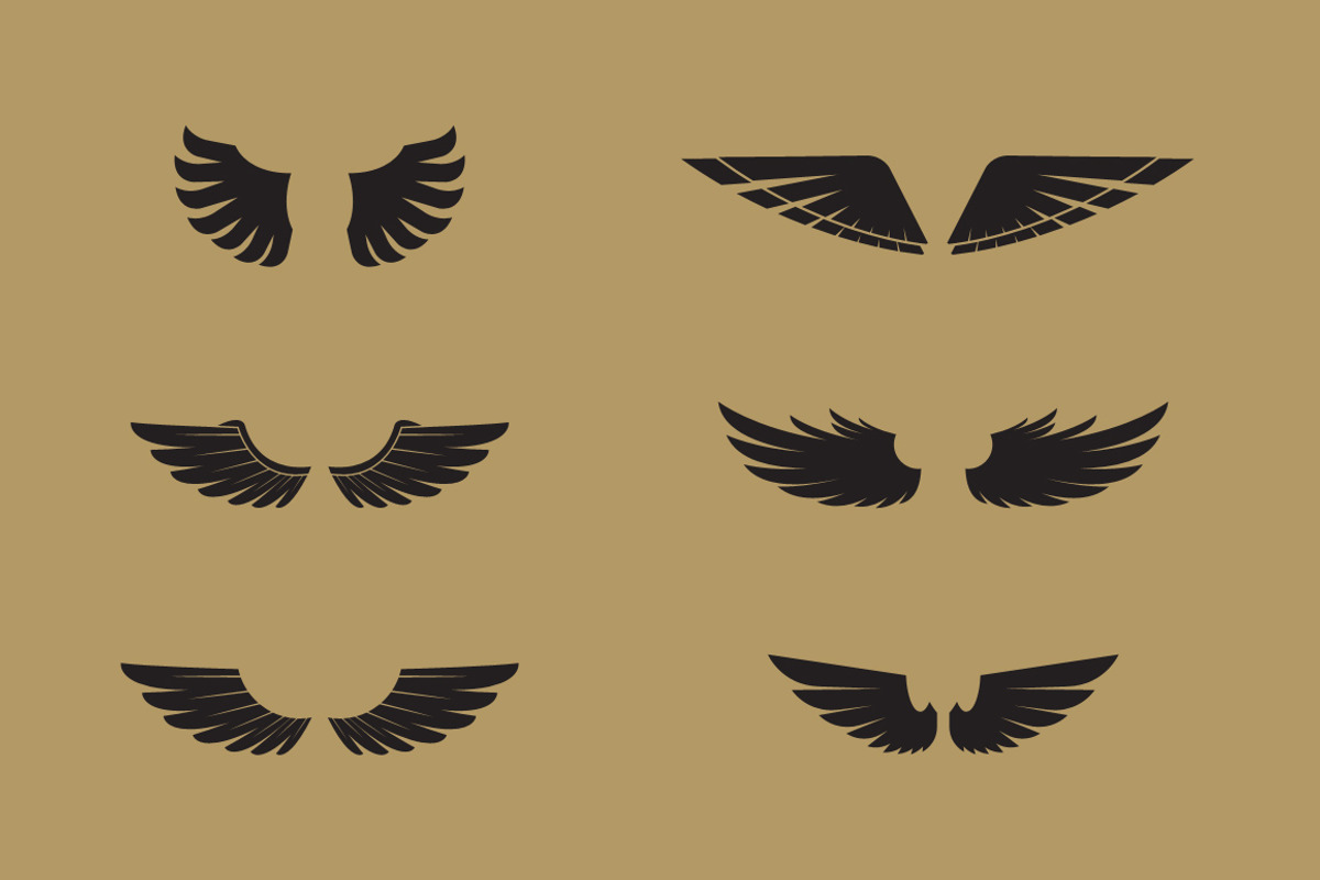 160 Pairs of Vector Wings, an Object Graphic by Damien (Photo 3 of 17)
