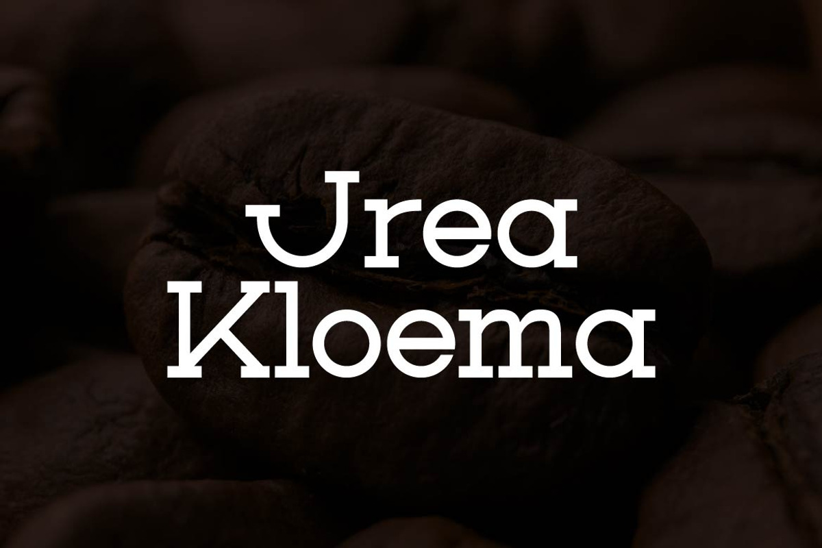 Wedank – Contemporary Slab Font, a Slab Serif Font by Artiveko (Photo 3 of 8)